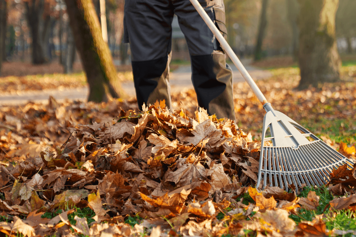 Landscaping services in Gloucester
