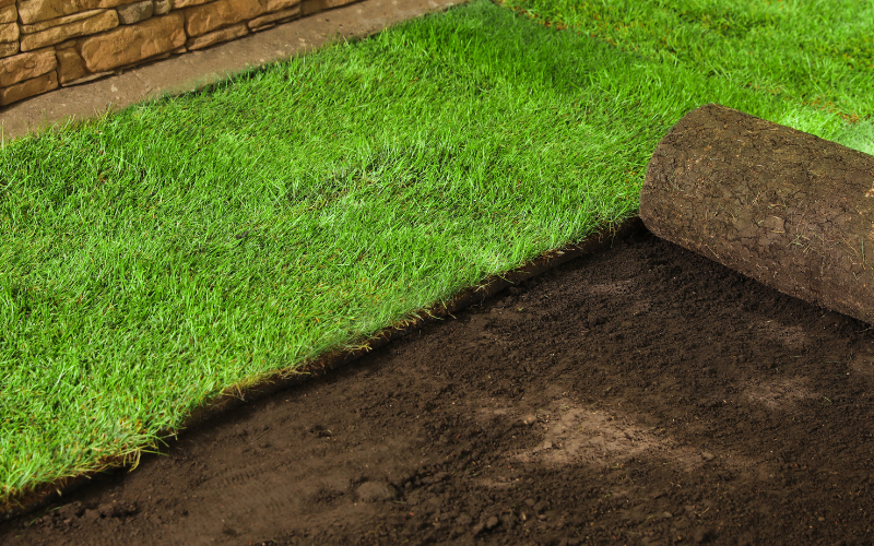 Sod Installation example 1